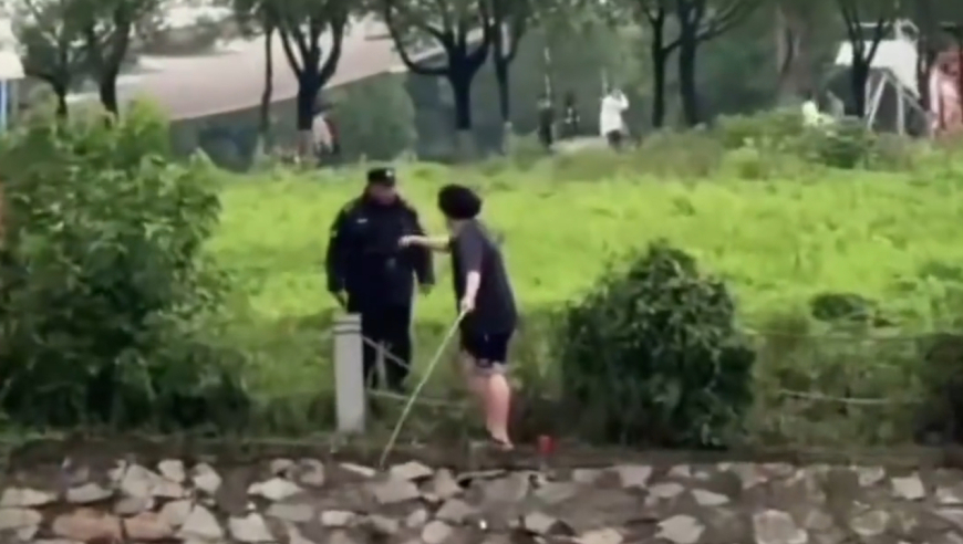 494949澳门今晚开什么202,74岁TVB老戏骨向狱中女友求婚成功,收益成语分析落实_精简版V8.41