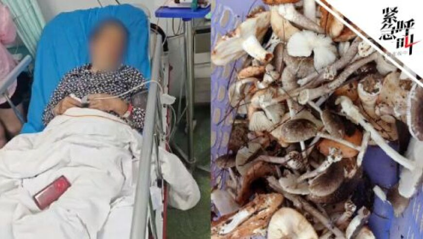 港澳49图库最快开奖结果,我独自升级男主极限救场,精准解释落实的人生哲理_黄金版V1.73